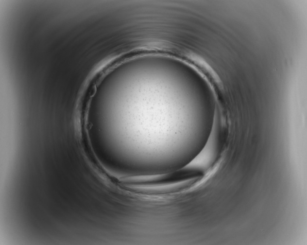 X0000099991114200805301408
