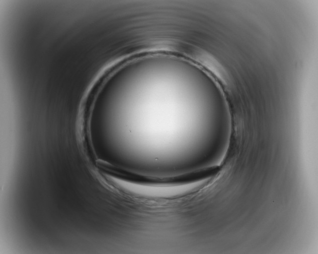 X0000099991116200805301408