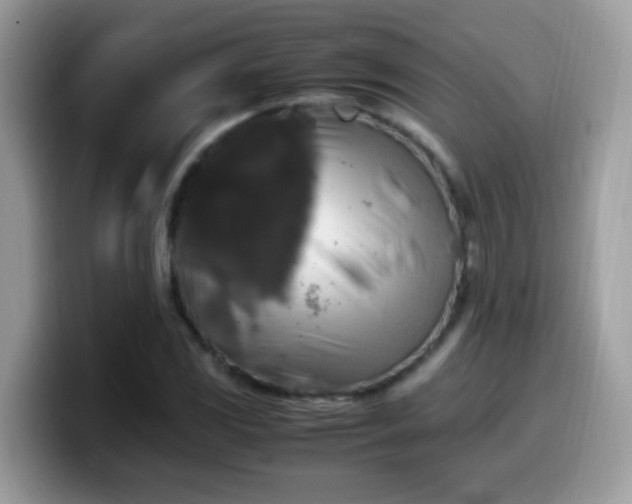 X0000099991117200805301408