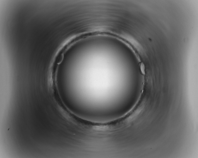 X0000099991118200805301408