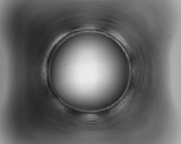 X0000099991119200805301408