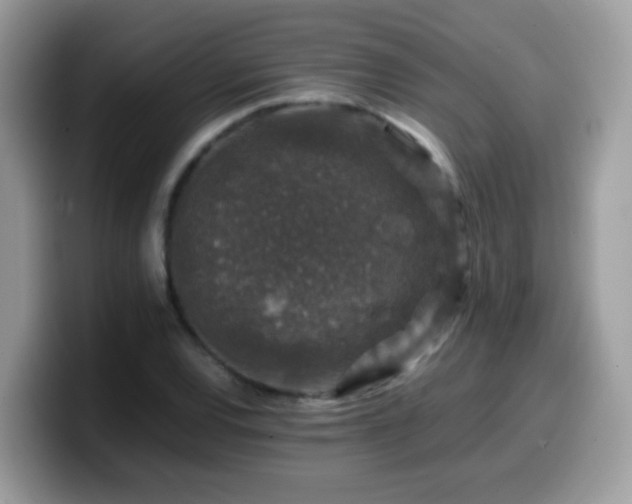 X0000099991120200805301408
