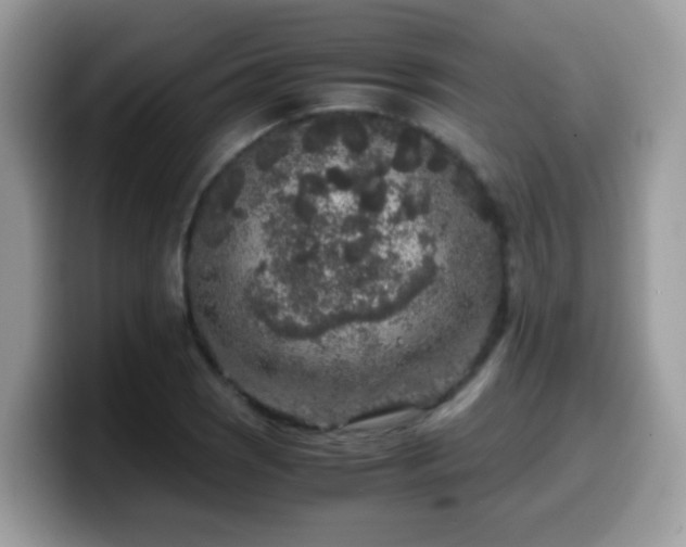 X0000099991121200805301408
