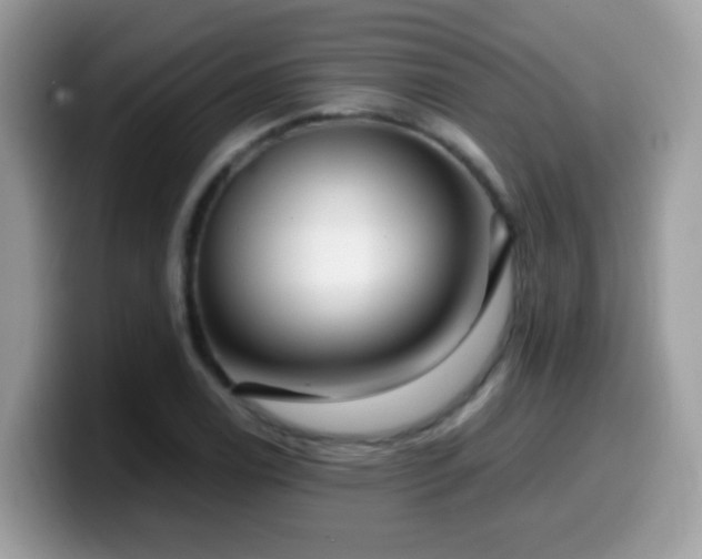 X0000099991122200805301408