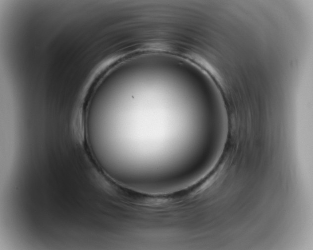 X0000099991123200805301408