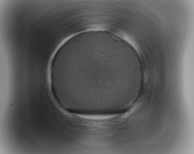X0000099991124200805301408