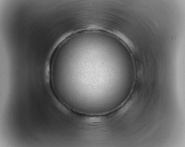 X0000099991126200805301408
