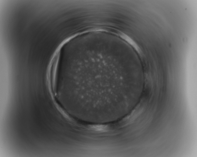 X0000099991127200805301408