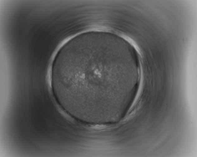 X0000099991128200805301408