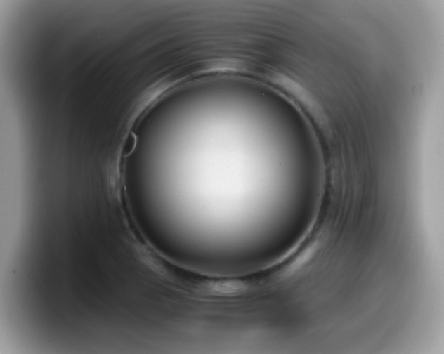 X0000099991129200805301408