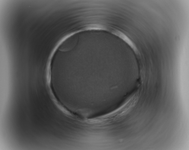X0000099991132200805301408