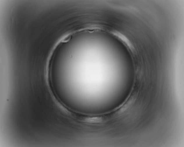 X0000099991135200805301408