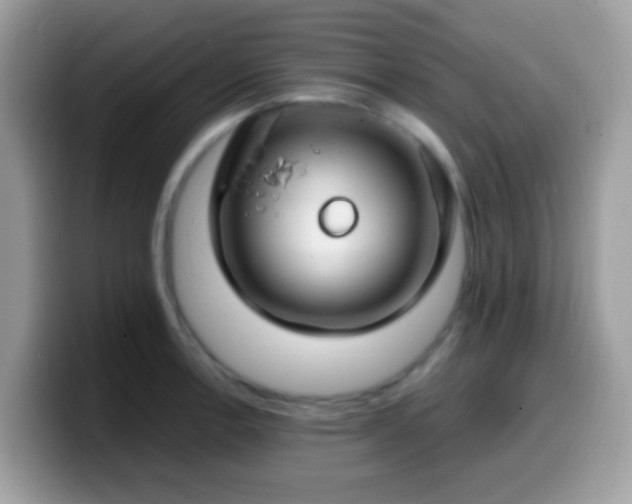 X0000099991138200805301408