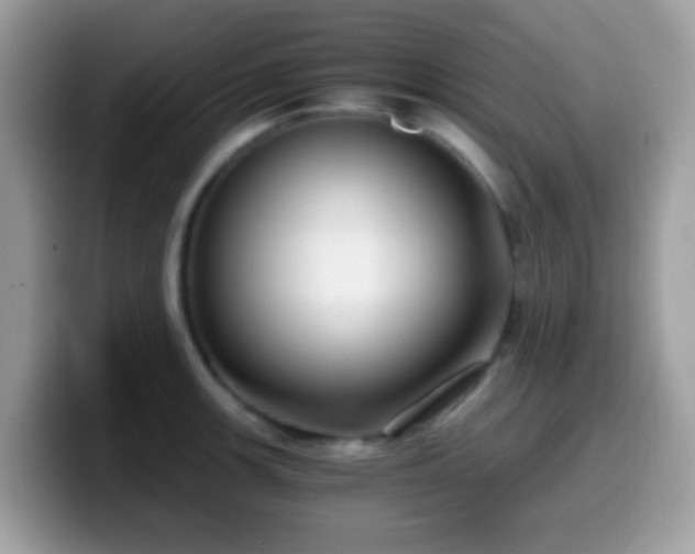X0000099991139200805301408