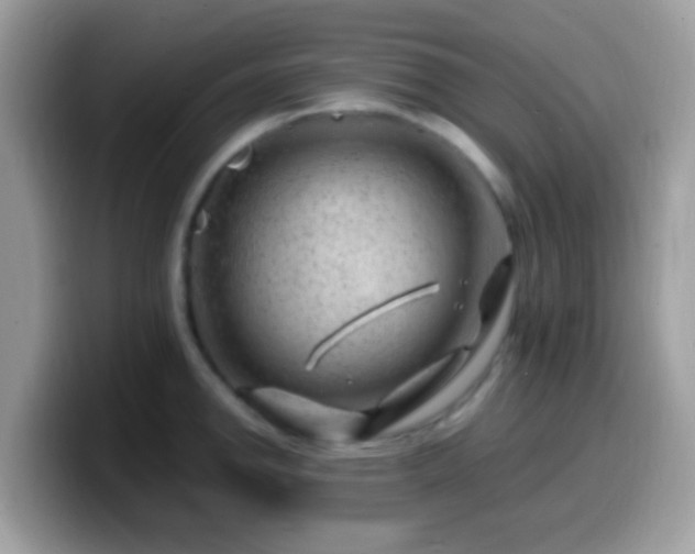 X0000099991142200805301408