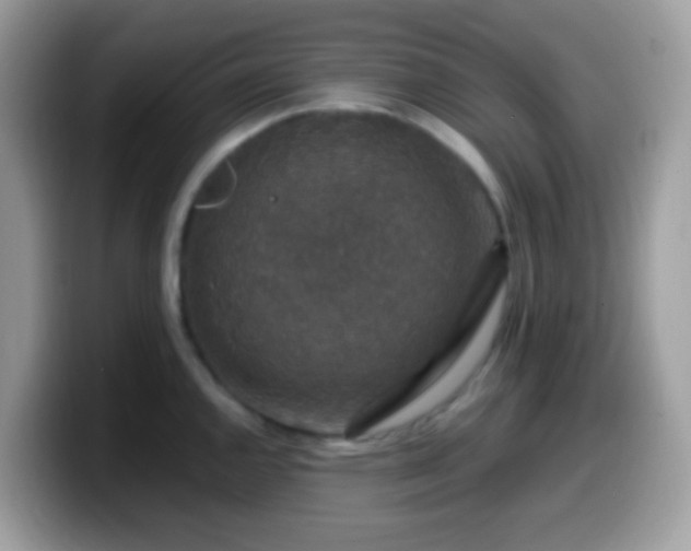 X0000099991144200805301408