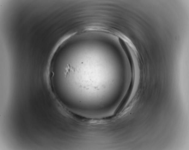 X0000099991146200805301408