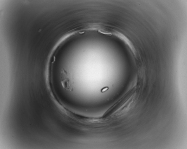 X0000099991147200805301408