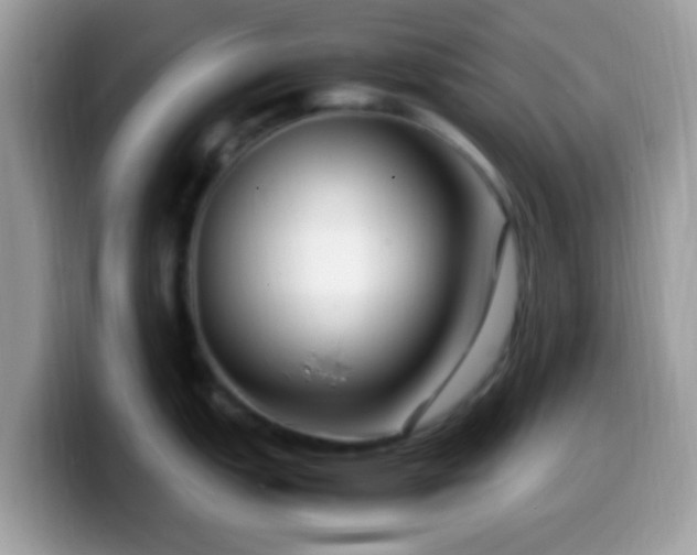 X0000099991151200805301408