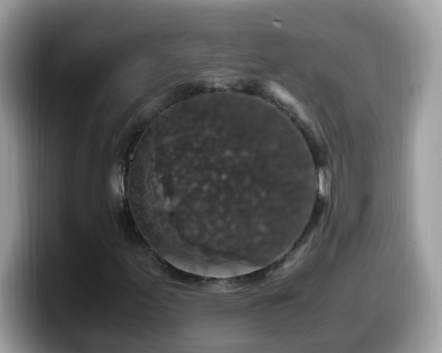 X0000099991155200805301407