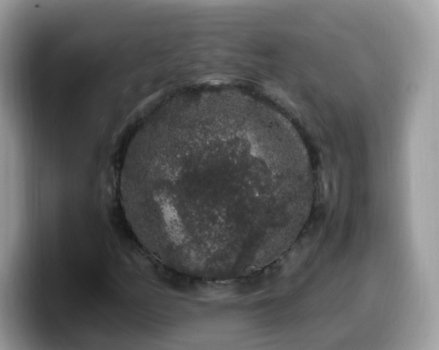 X0000099991158200805301407