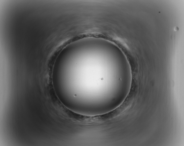 X0000099991159200805301407