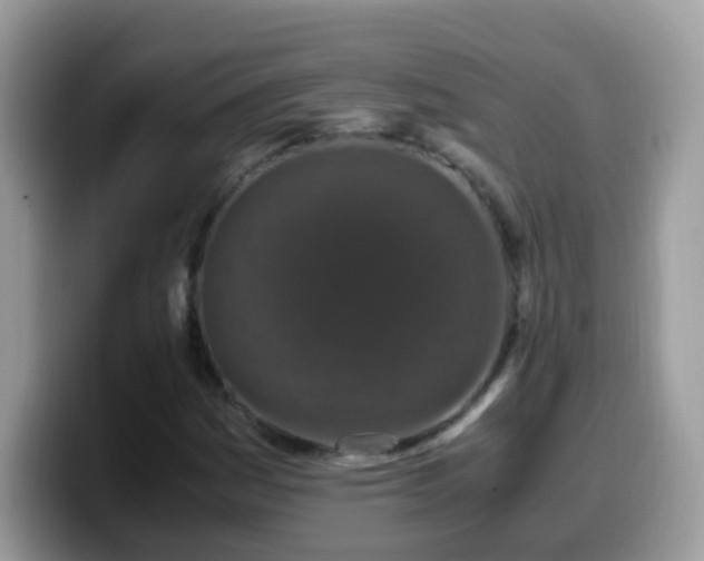 X0000099991161200805301407