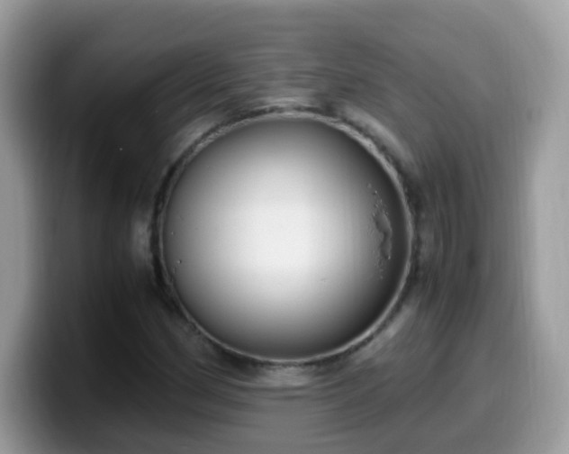 X0000099991162200805301407