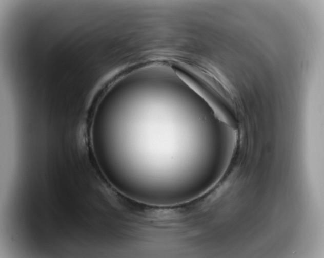 X0000099991164200805301407