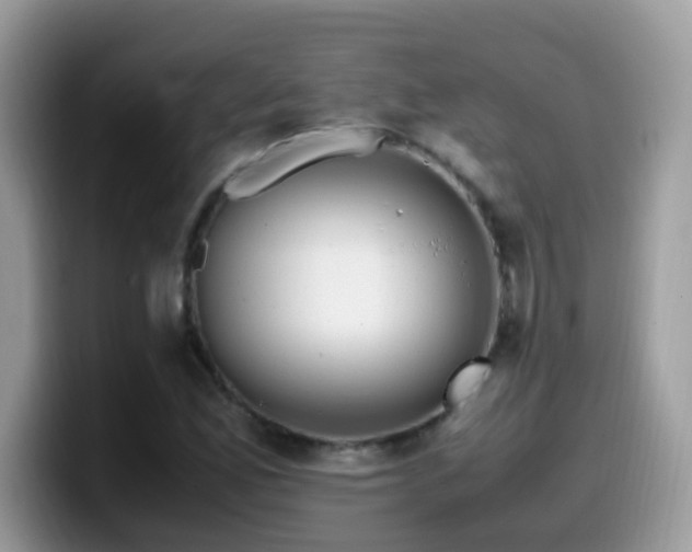 X0000099991165200805301407