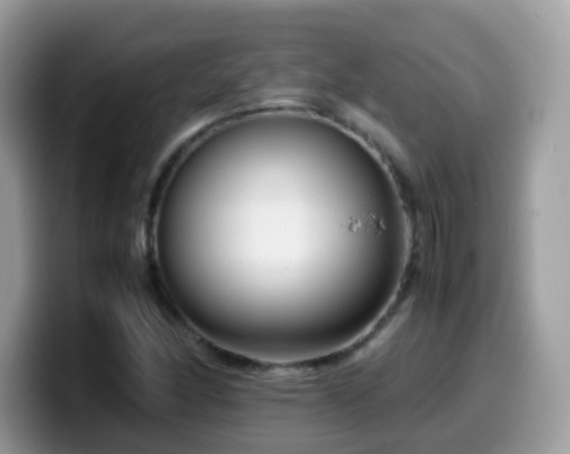X0000099991166200805301407