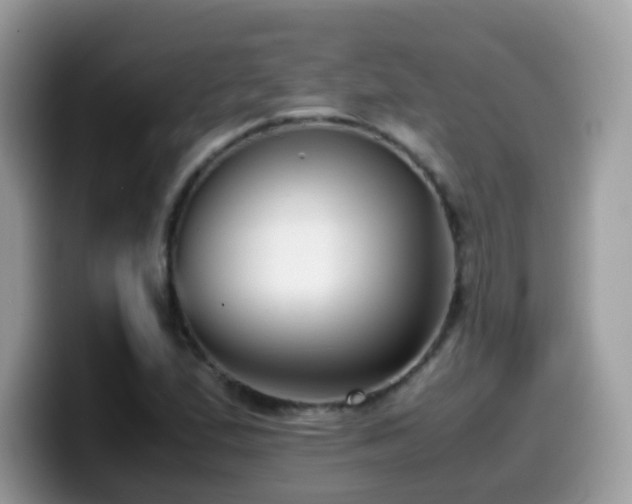 X0000099991167200805301407