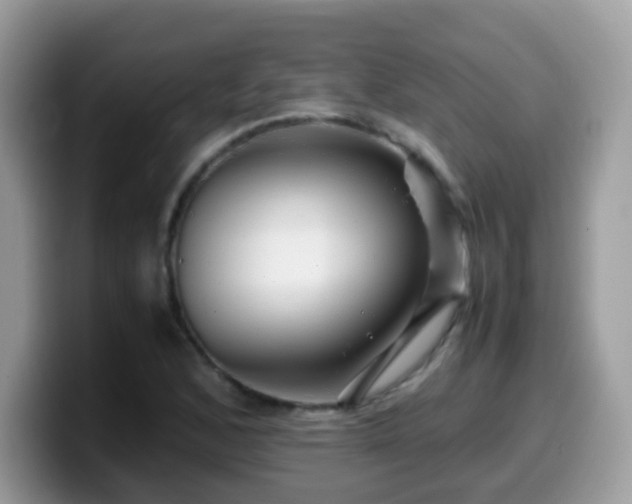 X0000099991168200805301407