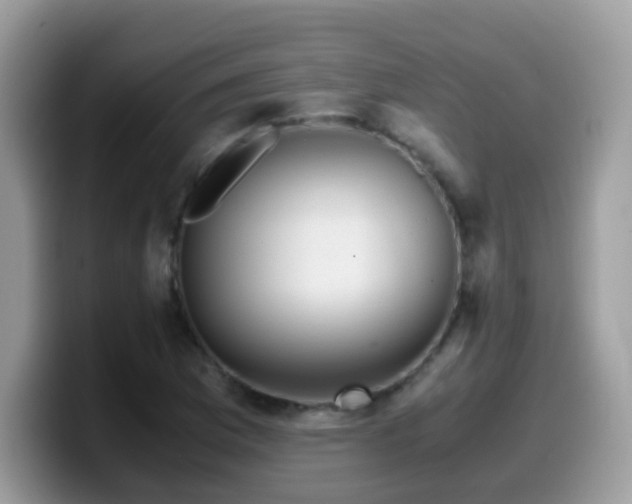 X0000099991169200805301407