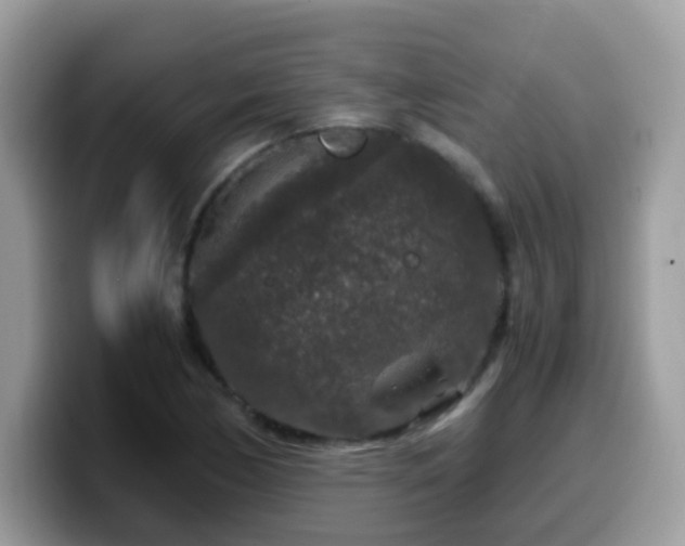 X0000099991170200805301407