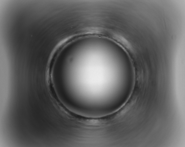 X0000099991172200805301407