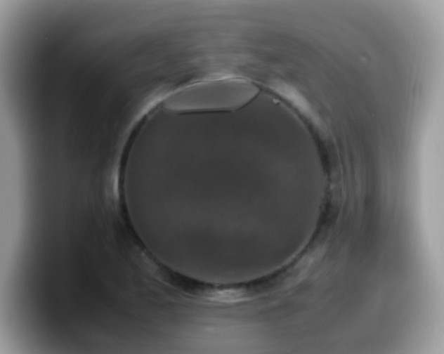 X0000099991173200805301407