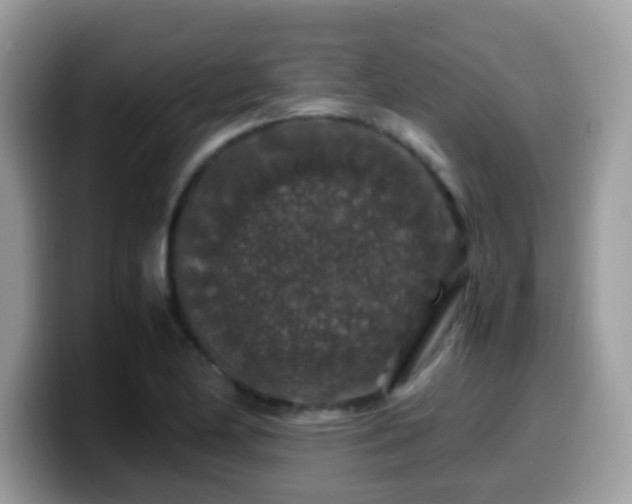 X0000099991174200805301407