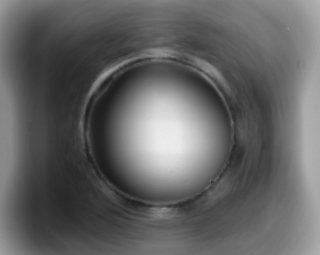 X0000099991176200805301407