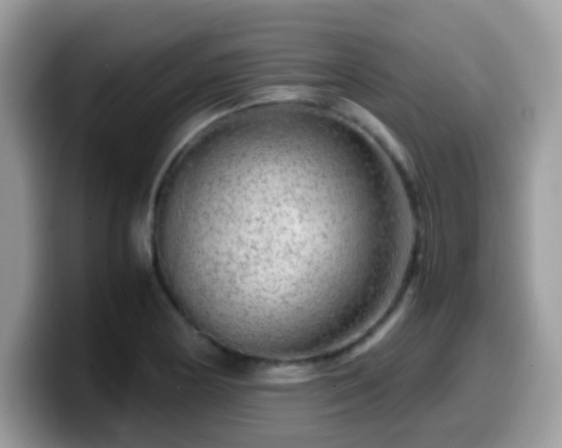 X0000099991178200805301407