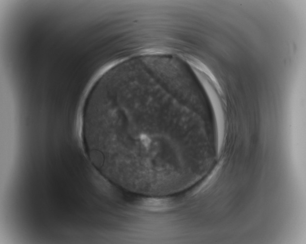 X0000099991179200805301407