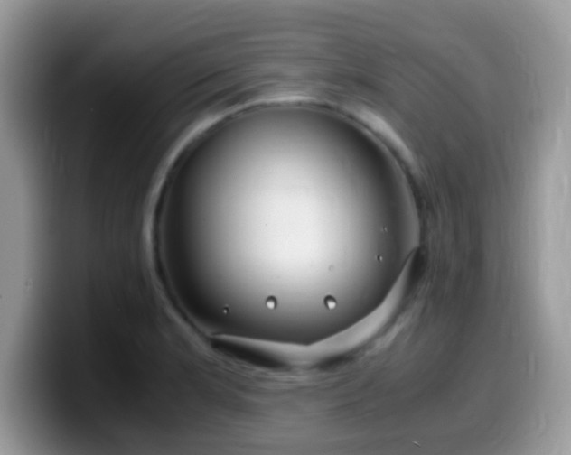 X0000099991181200805301407