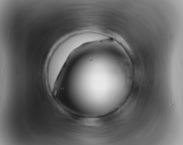 X0000099991184200805301407