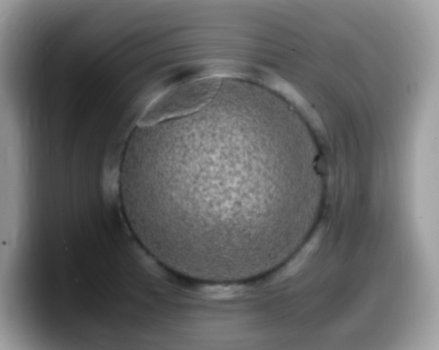 X0000099991185200805301407