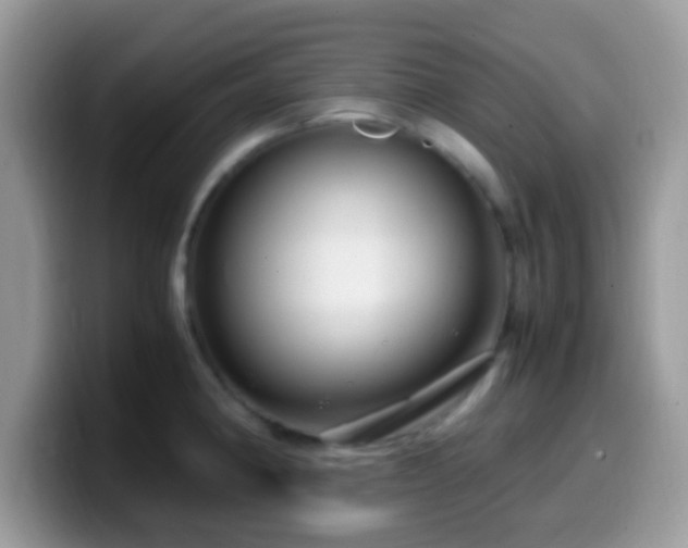 X0000099991190200805301407