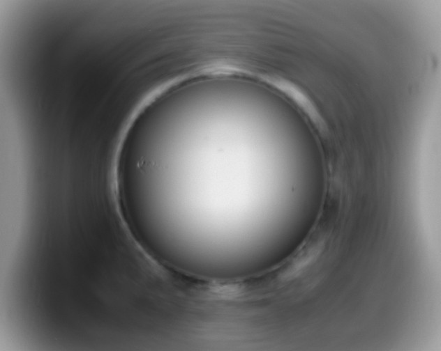 X0000099991191200805301407