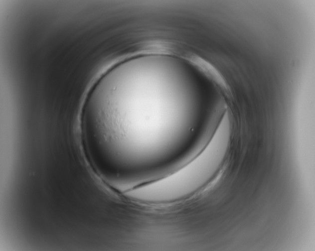 X0000099991192200805301407
