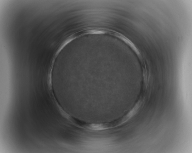 X0000099991194200805301407