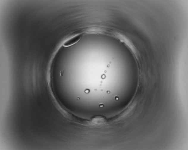 X0000099991195200805301407