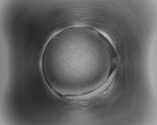 X0000099991197200805301407